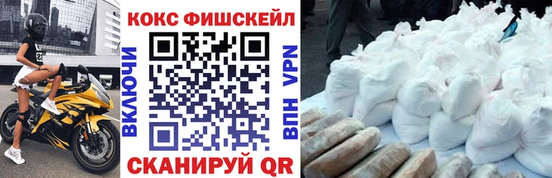 Купить где  Ершов  COCAIN FishScale 