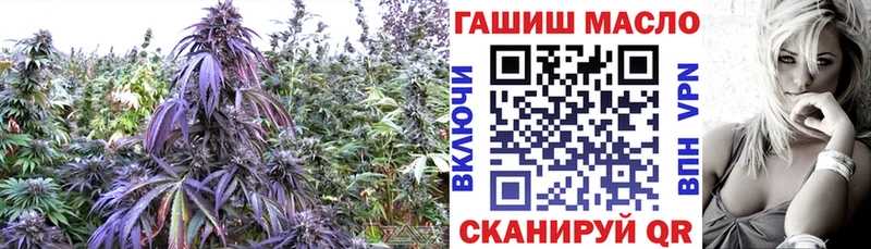 Купить  Ершов  ТГК Wax 